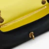 Dual Chain Mini Bag Dual Chain Mini Bag