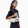 Dual Chain Mini Bag Dual Chain Mini Bag